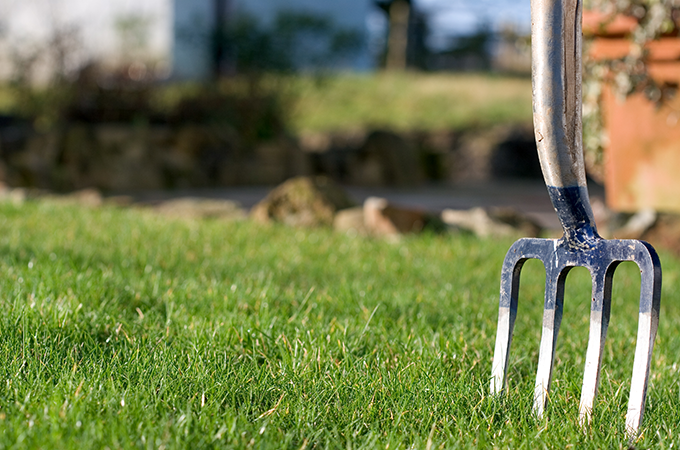 Guide to Lawn Care – Garden Gear Online