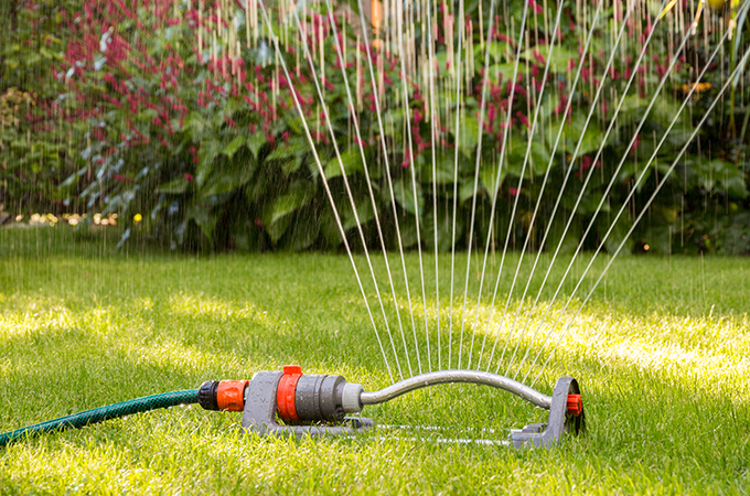 Guide to Lawn Care – Garden Gear Online